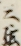 三弦
