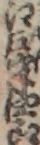 江戸半四郎