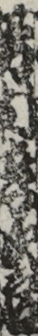 芳村幸次郎