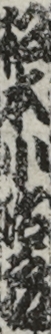 松本小治郎