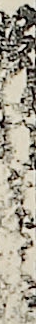 坂田半四郎