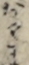 おやま