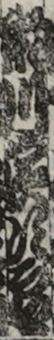 瀬川濱次郎