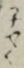 子やく