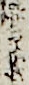 狂言作者