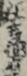 狂言作者