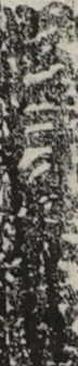 岩井粂三郎