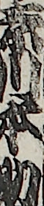 奈川本助