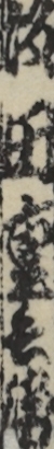 坂田重兵衛
