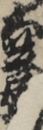 大芝居始 大芝居始