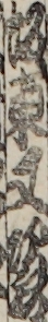 坂東又次郎