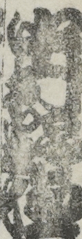 中村野塩