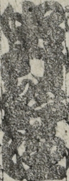 中村野塩