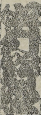 中村野塩