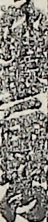 坂東三津右衛門