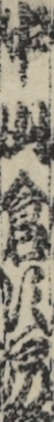中山倉次郎