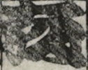 大坂