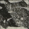 大坂