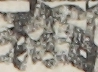 大坂