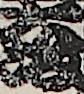 大坂
