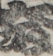 大坂