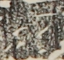 大坂