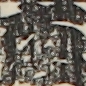 大坂