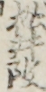 松井改