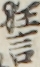 狂言