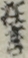 狂言