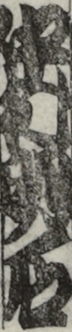 中村明石