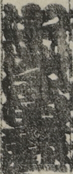 中山富三郎
