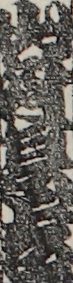 山科甚吉