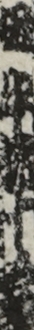 田中佐十郎 田中佐十郎