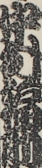 中村福助