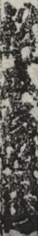 松本虎蔵