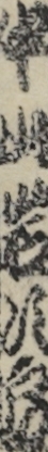 中山岩次郎