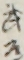 武道