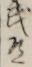武道