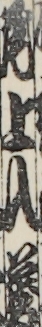 尾上入蔵