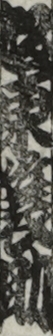 坂東簑助
