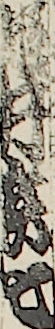 槌井芸七