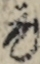 元