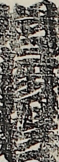 岩井紫若