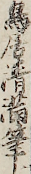 鳥居清満筆