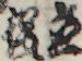 立役