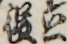 立役