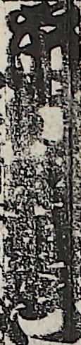 市村羽左衛門