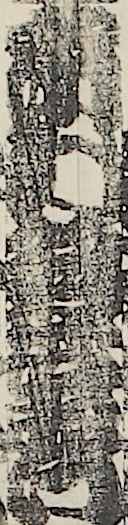 市村羽左衛門