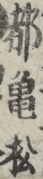 都亀松
